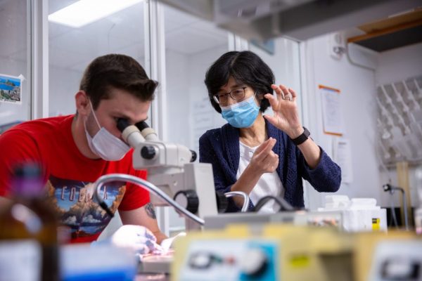 Akiko Nishiyama (right), professor and head of physiology and neurobiology, advises a graduate student in her lab on August 17, 2021. (Bri Diaz/UConn Photo)
